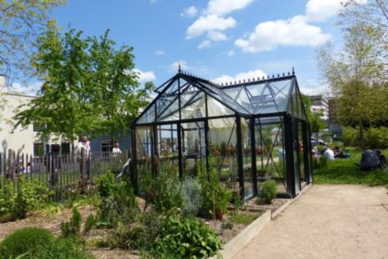 Psychiatrie : au CHU de Saint-Étienne, l'hortithérapie ouvre le champ des possibles