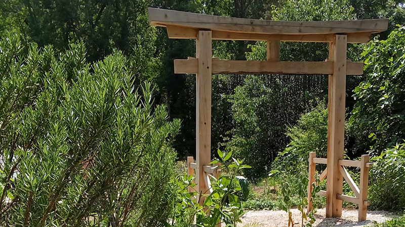 Jardin Binettes et compagnie