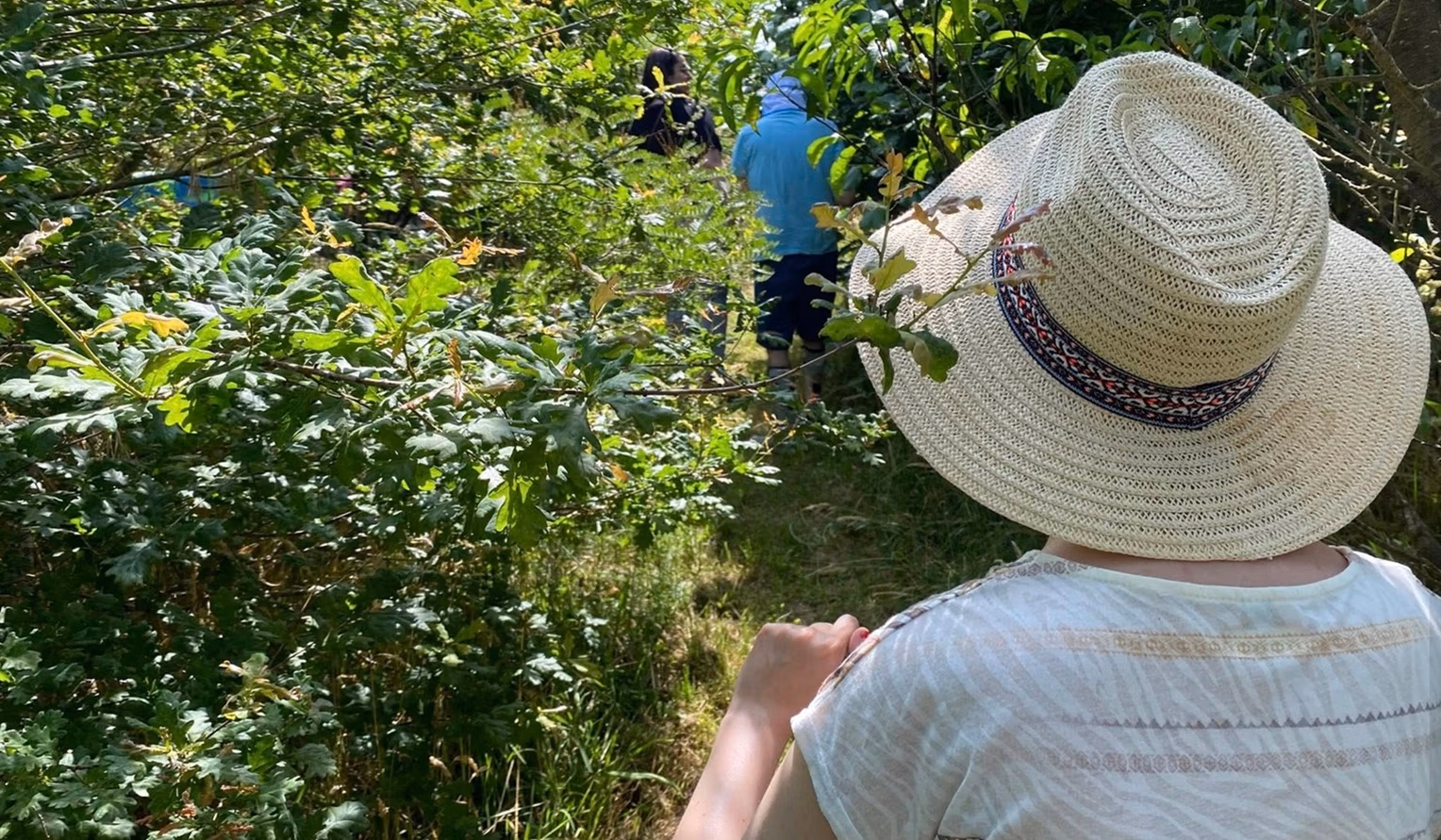 TEMOIGNAGES La prescription de nature des initiatives françaises isolées à soutenir