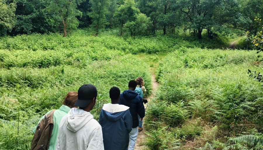 Immersion en forêt