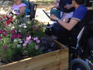 groupe de personnes qui jardinent en fauteuil roulant
