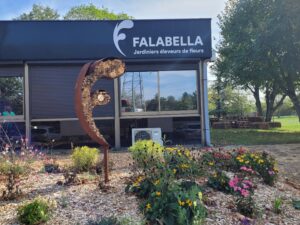 visite perma-entreprise Falabella